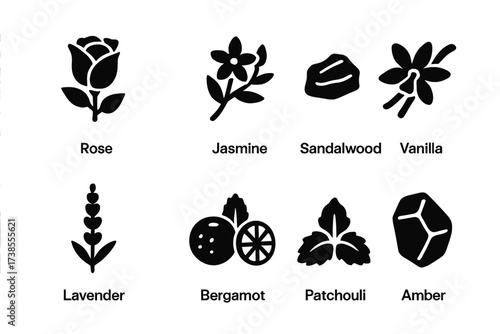 Fragrance Ingredients Icons. Solid, filled icon set of fragrance ingredients: rose, jasmine, sandalwood, vanilla, lavender, bergamot, patchouli, amber. Solid,
