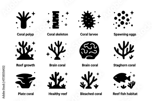 Coral Life Icons. Coral reef life cycle. Solid icons set of coral polyp, coral skeleton, coral larvae, spawning eggs, reef growth, branching coral, brain