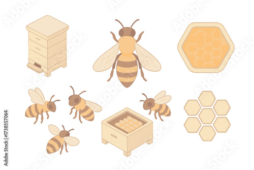 Beehive Structure Illustration. Isometric vector illustration set hive honey bee queen: beehive structure layers, queen bee