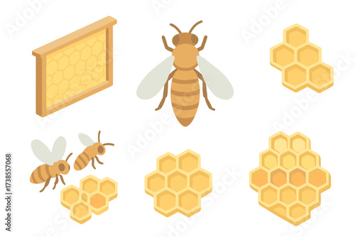 Beehive Isometric Illustration. Isometric vector illustration set hive honey bee queen: wooden frame hive, queen bee larger body,