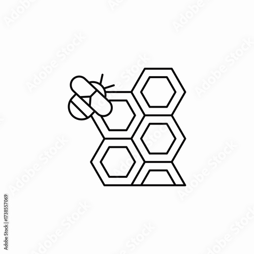 honey bee honeycomb icon sign vector