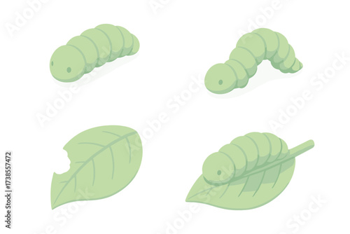 Caterpillar Leaf Munch. Isometric vector illustration set caterpillar crawl leaf munch: green body caterpillar, arched crawl