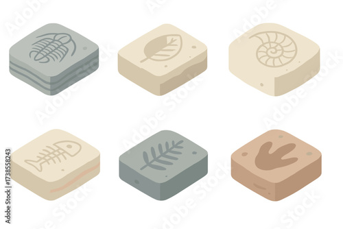 Fossil Icons Collection. Isometric vector illustration set Fossil-bearing layers: trilobite imprint in shale, leaf fossil in