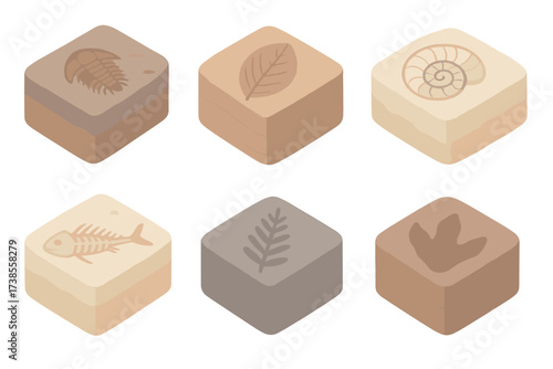 Fossil Icons Collection. Isometric vector illustration set Fossil-bearing layers: trilobite imprint in shale, leaf fossil in