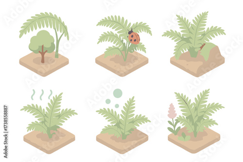 Fern Ecosystem Icons. Isometric vector illustration set Fern in ecosystem: fern providing shade, fern with insect habitat, fern