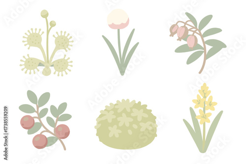 Wetland Plant Icons. Isometric vector illustration set Wetland plants in bogs: sundew carnivorous plant, cotton grass bloom, bog