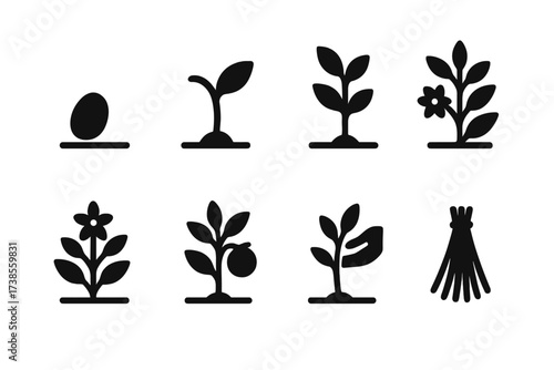 Plant Growth Stages Icons. Solid, filled icon set of crop growth stages: seed, sprout, seedling, mature plant, flowering, fruiting, harvesting, drying. [Line