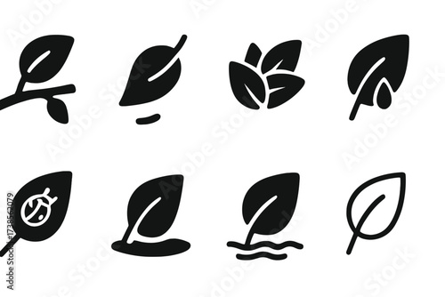 Nature's Leaf Icon Set. Solid, filled icon set of leaves in nature: leaf on branch, leaf falling, leaf pile, leaf with dew, leaf with insect, leaf shadow, leaf