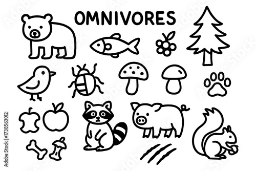 Omnivore Icons Collection. Hand-drawn doodle illustration Omnivores bear, fish, berry, tree, bird, insect, mushroom, nut, apple, raccoon, pig, paw print, food