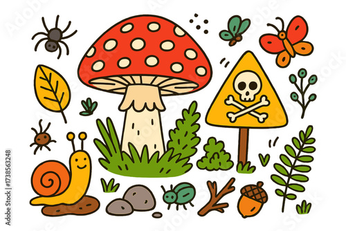 Colorful Fungi and Bugs. Poisonous. Colorful Hand-drawn doodle Children illustration Fly agaric mushroom, warning sign, snail, leaf, spider, insect, acorn,