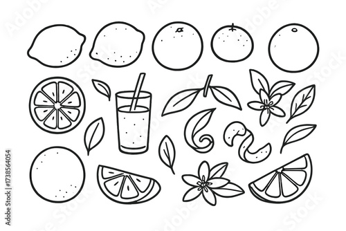 Citrus Fruits Doodle. Citrus Fruits. Hand-drawn doodle illustration lemon, lime, orange, grapefruit, tangerine, mandarin, pomelo, sliced citrus, juice glass,