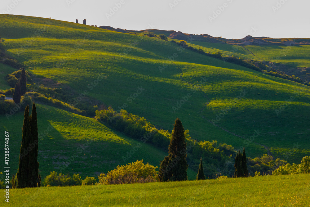 Obraz premium Amazing Tuscany panoramic landscape with green rolling hills with trees in spring, Italy.
