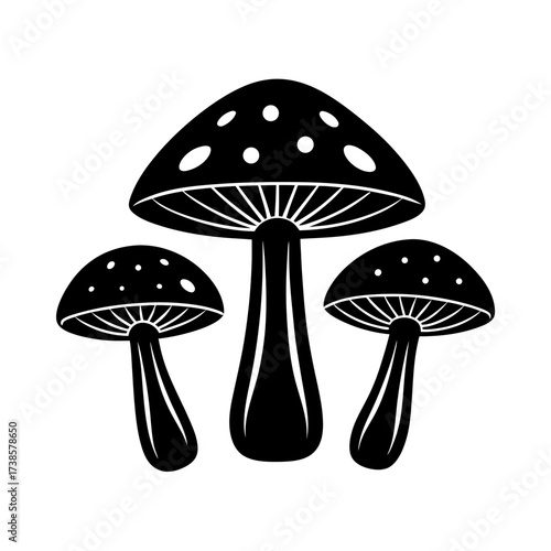 mushroom on a white background
