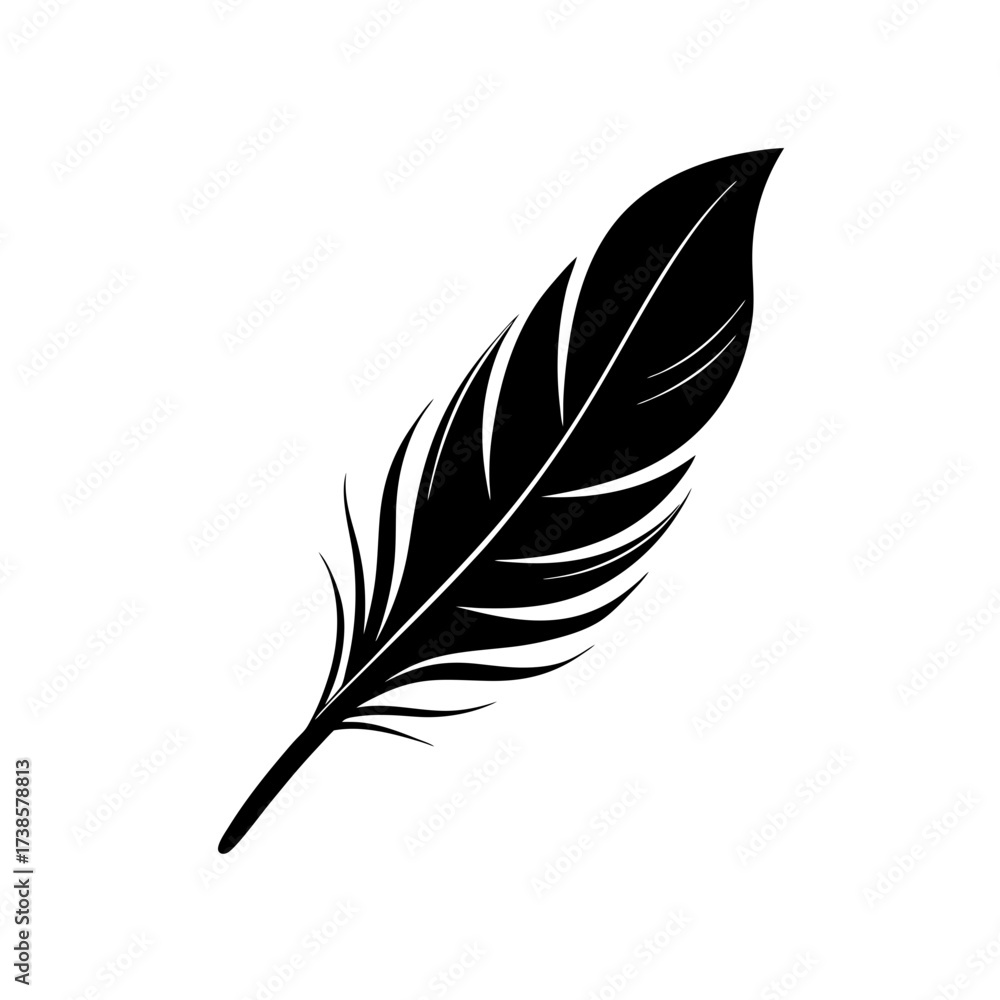 Fototapeta premium feather on white background