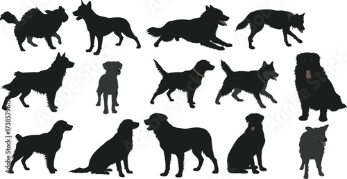 Dog silhouette vector illustration, pet animal design, domestic dog shapes, black dog outlines, canine artwork, dog breed collection