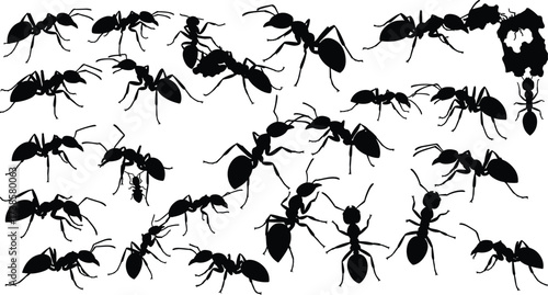 Ant silhouettes collection, insect vector illustrations, black ant colony design, pest control concept, teamwork nature symbol, bug artwork set