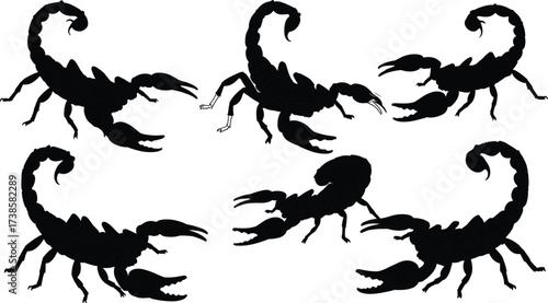 Scorpion silhouette set, dangerous insect vector collection, black scorpions illustration, poisonous arachnid design, desert wildlife, horror Halloween icon