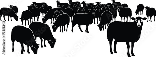 Sheep flock silhouette illustration with grazing and standing sheep herd group farm animals for agriculture and livestock design
