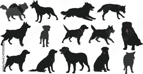 Vector dog silhouettes collection, domestic pet animal poses, playful dogs, sitting dogs, standing dogs, walking dogs illustration