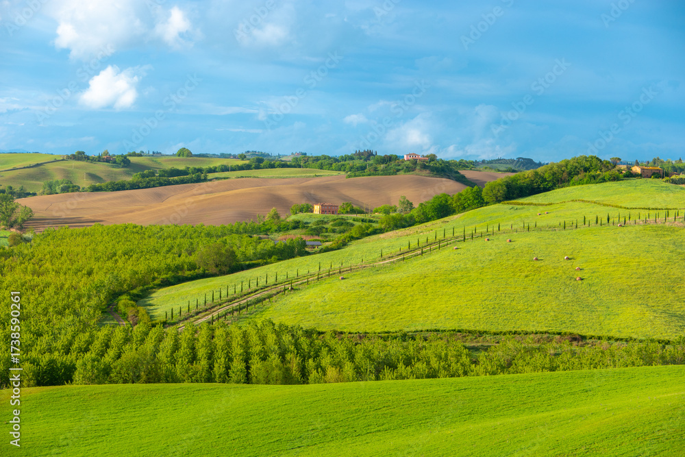 Naklejka premium Amazing Tuscany panoramic landscape with green rolling hills with trees in spring, Italy.