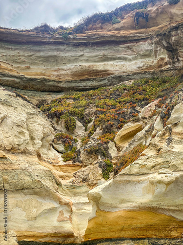 Sandstone cliffs with moss growing