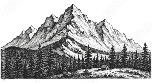 Detailed black and white mountain landscape with pine forest and cabin