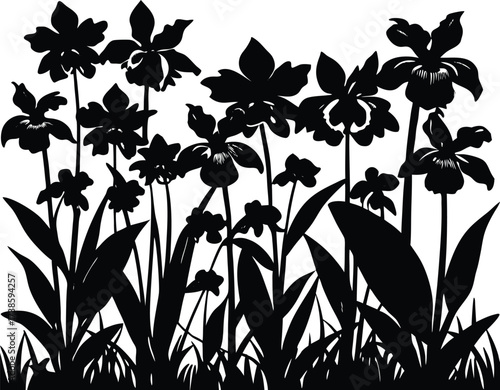 Orchid Field In Jungle Clearing Silhouette | Exotic Flower Vector Art