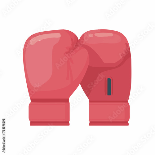 Boxing Gloves Flat Vector Icon Style