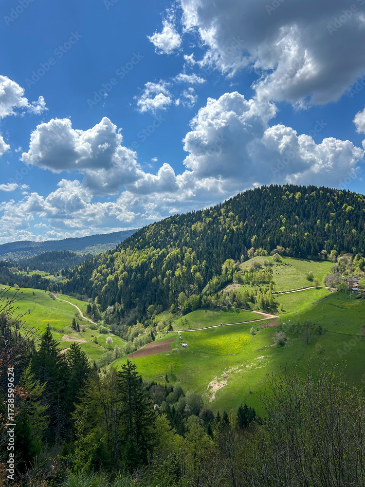 Obraz premium Beautiful view of a lush green valley and forested hills under a dramatic sky filled with fluffy clouds, capturing the serenity and freshness of spring in the mountains.