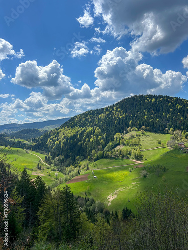 Beautiful view of a lush green valley and forested hills under a dramatic sky filled with fluffy clouds, capturing the serenity and freshness of spring in the mountains.