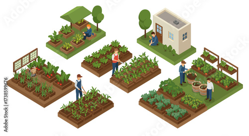 Isometric community garden with people cultivating vegetables in urban setting
