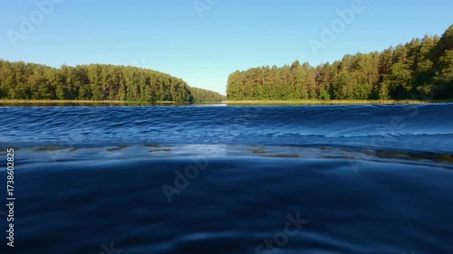 Adult person swims in a still lake surrounded by dense forest during summer evening, with serene reflections and natural tranquility in a remote nature setting
