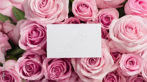 Blank card centered on a bed of fresh, soft pink roses. Floral beauty captured up close