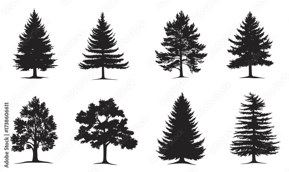 Fototapeta premium Collection of detailed black silhouette pine, fir, and deciduous tree shapes, forest nature vector set with isolated minimalist flat design elements on white background