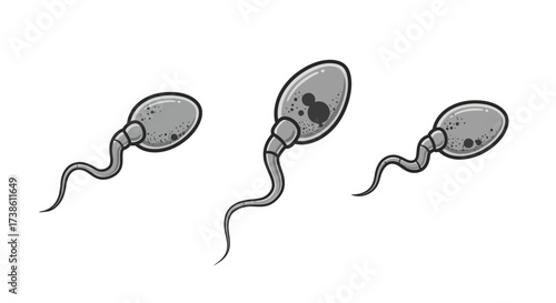 Set of ornate gothic crosses in various styles and patterns