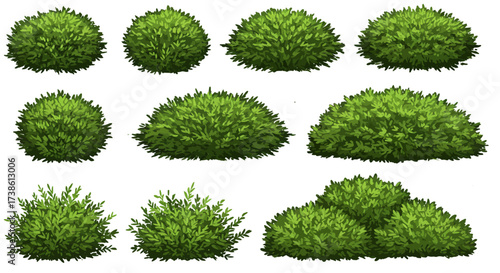 3d microscopic view of a red virus on a white background