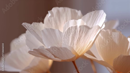 Close up of handmade white paper flowers. Delicate crepe paper petals illuminated by soft light. DIY craft and home decoration concept