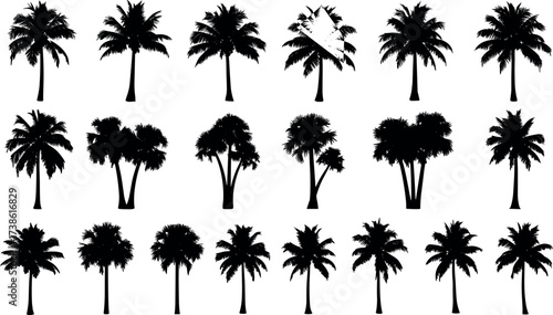 Palm tree silhouette collection with tropical shapes, exotic foliage, beach vibes, botanical diversity, black vector icons for nature design themes