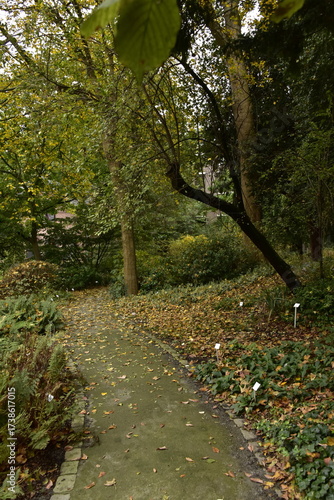 Wallpaper Mural Végétation luxuriante en automne au Jardin Botanique d'Anvers (Antwerpen)  Torontodigital.ca