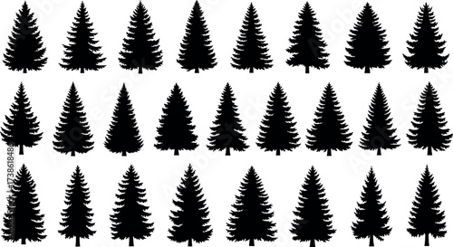 Set of 25 pine tree silhouette icons in black isolated on white background for forest, nature, landscape, and design themes