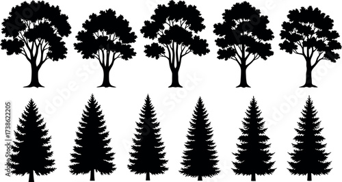 Silhouette collection of deciduous and coniferous trees in black isolated style for nature, forest, landscape, and botanical design themes