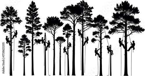 Silhouette of climbers ascending diverse trees using ropes, ladders, and gear in forest environment for arborist, adventure, and safety themes