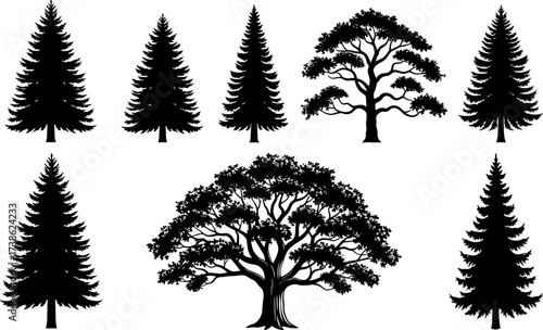 Silhouettes of coniferous and deciduous trees in various shapes and styles for nature, forest, landscape, and botanical design themes