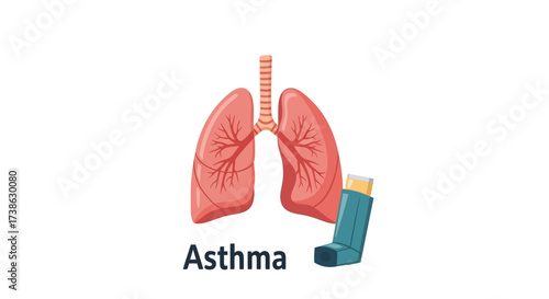 Asthma illustration with lungs and inhaler on white background  