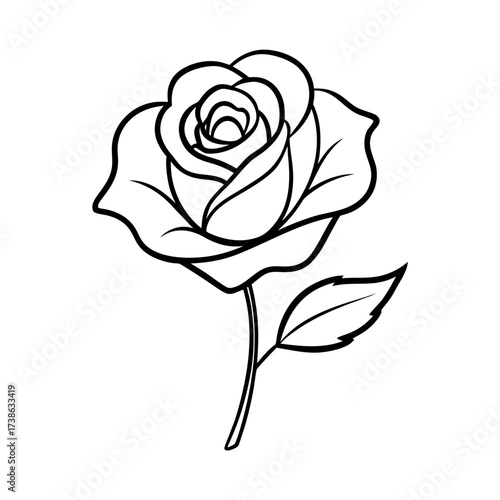 Elegant black and white rose illustration scalable vector graphic for design