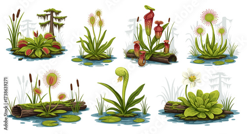 Pixel art svg vector illustration of carnivorous swamp plants isolated on transparent background