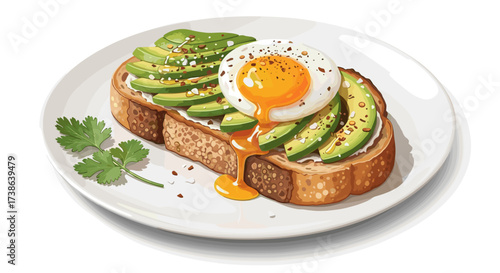 Avocado toast with a perfectly poached egg and fresh cilantro. SVG vector illustration isolated.