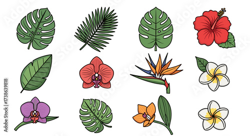 Vector illustration set of hand-drawn tropical flowers and leaves isolated on transparent background