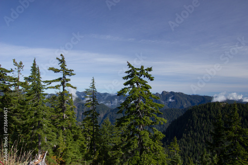 View from Grouse Mountain near Vancouver, Canada