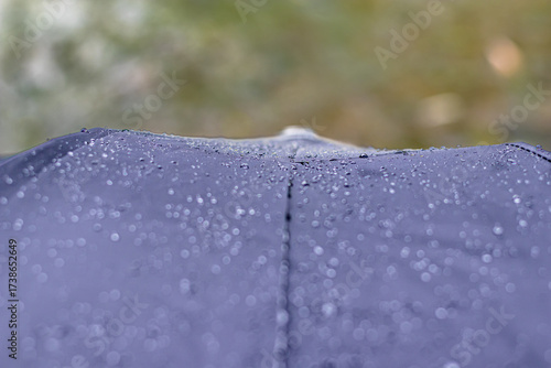 Top of Black Umbrella with Raindrops, Nature Bokeh, Blurred Rainy Outdoor Scene